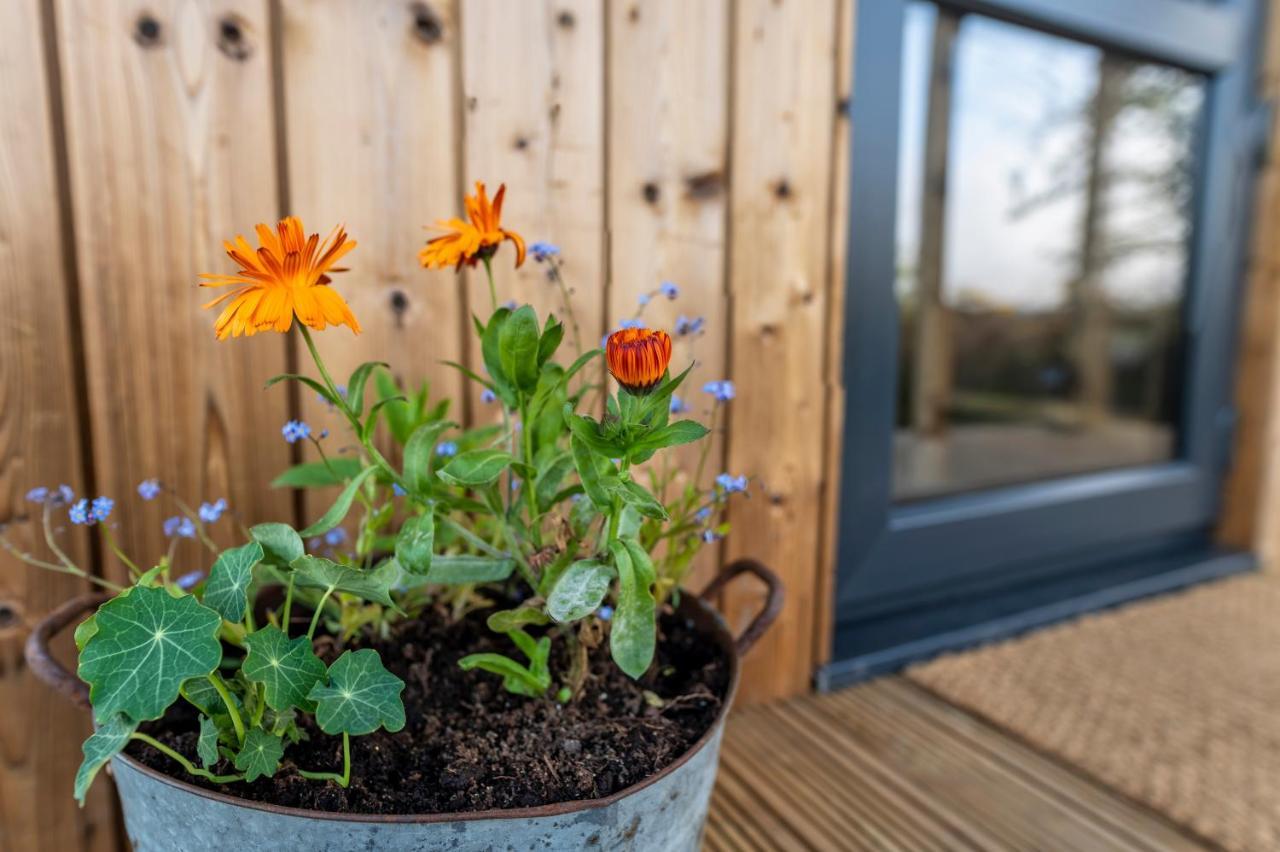 Luxury Glamping Cabin With Outdoor Bath On Cornish Flower Farm Truro Esterno foto